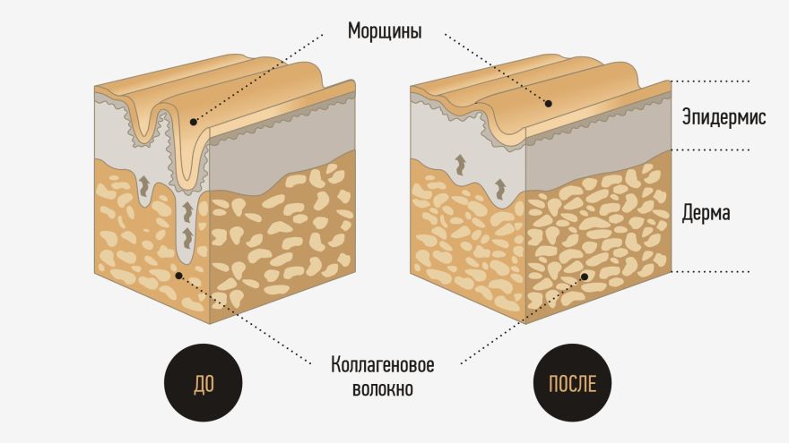 Почему дерма нуждается в биологически активных веществах?