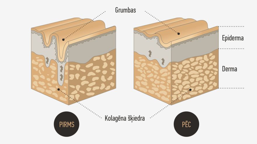 Kāpēc bioloģiski aktīvajām vielām (modulatoriem) jānokļūst dermā?